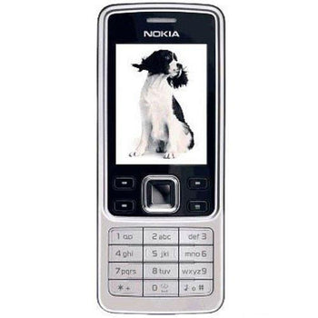 Nokia 6300